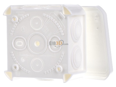 Back view OBO T 40 RW Surface mounted box 90x90mm 
