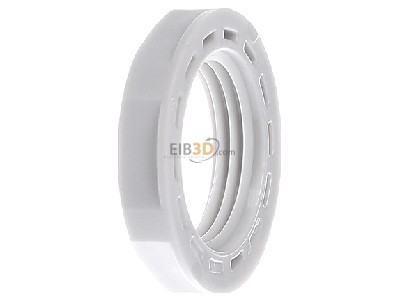 View on the right Kaiser 8255.20 Locknut for cable screw gland M20 
