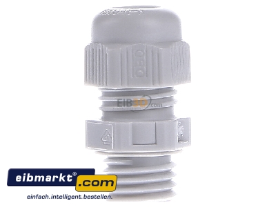 View on the left OBO Bettermann V-TEC VM12 LGR Cable gland / core connector M12
