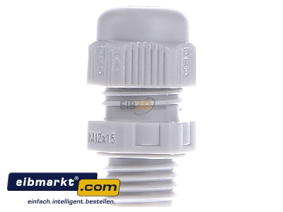 View on the right OBO Bettermann V-TEC VM12 LGR Cable gland / core connector M12
