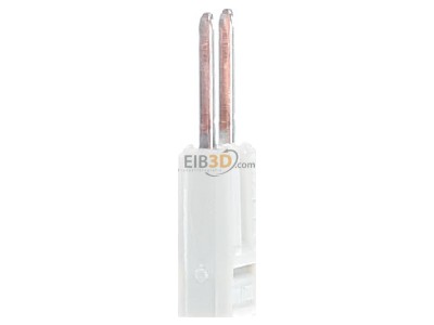 Ansicht links WAGO 2000-402 Kammbrcker 2fach lgr 
