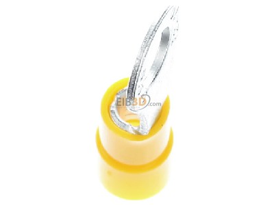 Ansicht oben rechts Phoenix C-RCI 6/M6 Ringkabelschuh ge, 4-6qmm, M6 