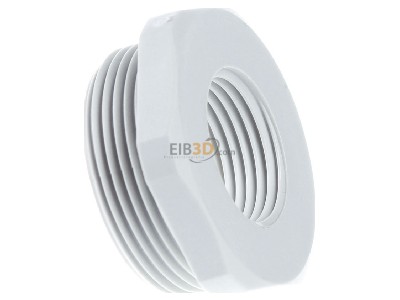View on the left Kleinhuis 1893M3220 Adapter ring M20 / M32 plastic 
