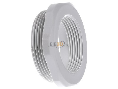 View on the left Kleinhuis 1893M4032 Adapter ring M32 / M40 plastic 
