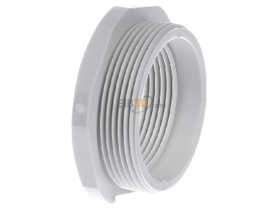 View on the right Kleinhuis 1893M4032 Adapter ring M32 / M40 plastic 
