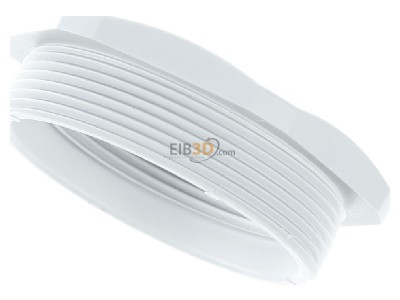 Top rear view Kleinhuis 1893M5040 Adapter ring M40 / M50 plastic 
