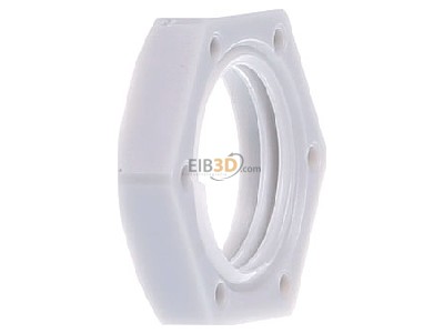 View on the right Kleinhuis 3420M16 Locknut for cable screw gland M16 
