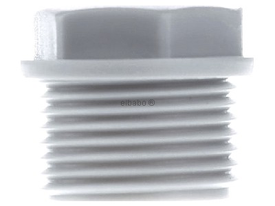 View on the left Spelsberg WST M20 Knock-out plug 20mm 

