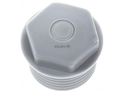 View top left Spelsberg WST M20 Knock-out plug 20mm 
