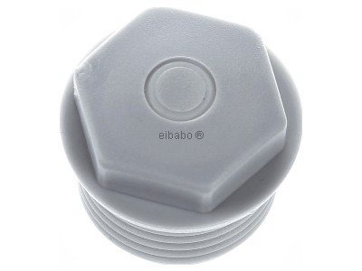 View top right Spelsberg WST M20 Knock-out plug 20mm 
