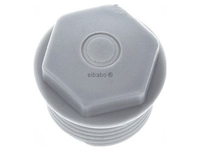 Top rear view Spelsberg WST M20 Knock-out plug 20mm 
