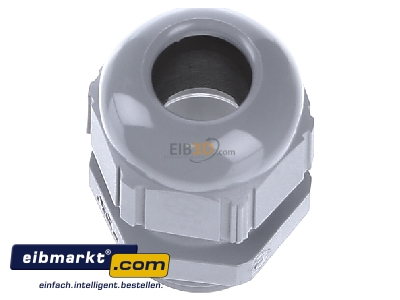 Ansicht oben vorne Lapp Zubehr ST Pg11 R7001 SGY Kabelverschraubung SKINTOP 