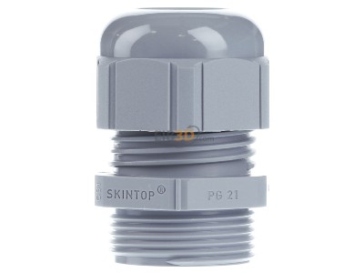 Front view Lapp ST Pg21 R7001 SGY Cable gland / core connector 
