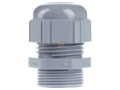 View on the right Lapp ST Pg21 R7001 SGY Cable gland / core connector 
