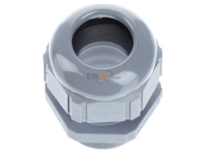 View top left Lapp ST Pg21 R7001 SGY Cable gland / core connector 
