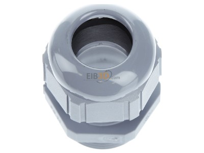 View top right Lapp ST Pg21 R7001 SGY Cable gland / core connector 
