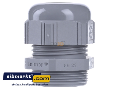 Front view Lapp Zubehr ST Pg29 R7001 SGY Cable screw gland - 
