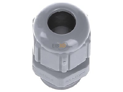 Top rear view Lapp ST-M12x1,5 R7001 SGY Cable gland / core connector M12 
