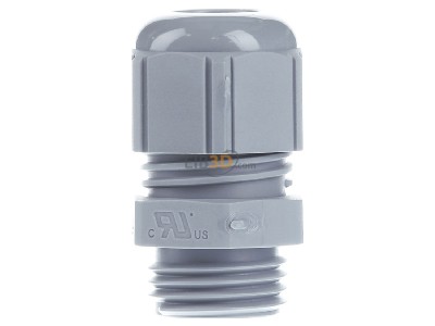 Back view Lapp ST-M16x1,5 R7001 SGY Cable gland / core connector M16 
