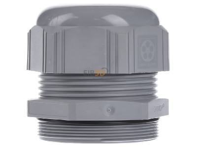 View on the left Lapp ST-M63x1,5 R7001 SGY Cable gland / core connector M63 
