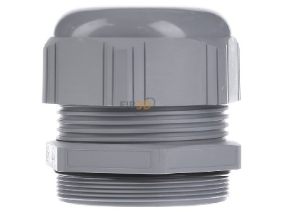 Back view Lapp ST-M63x1,5 R7001 SGY Cable gland / core connector M63 
