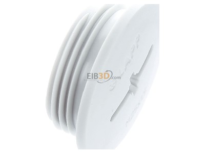 Ansicht oben links Lapp BLK-M 25x1,5 LGY7035 Blindverschraubung SKINDICHT 