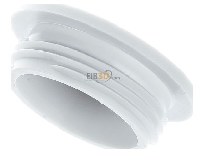 Ansicht oben hinten Lapp BLK-M 25x1,5 LGY7035 Blindverschraubung SKINDICHT 