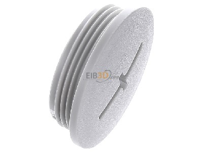 Ansicht oben links Lapp BLK-M 32x1,5 LGY7035 Blindverschraubung SKINDICHT 
