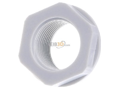 Front view Lapp KU-M 25x1,5/20x1,5 Adapter ring M20 / M25 plastic 
