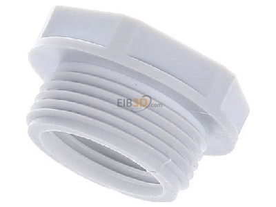 Top rear view Lapp KU-M 25x1,5/20x1,5 Adapter ring M20 / M25 plastic 
