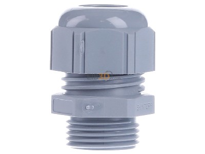 View on the left Lapp STR-M20x1,5 R7001SGY Cable gland / core connector 
