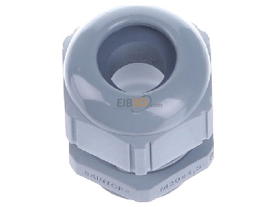 View up front Lapp STR-M20x1,5 R7001SGY Cable gland / core connector 
