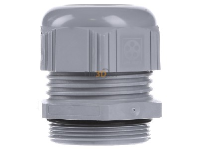 Back view Lapp STR-M40x1,5 R7001SGY Cable gland / core connector 
