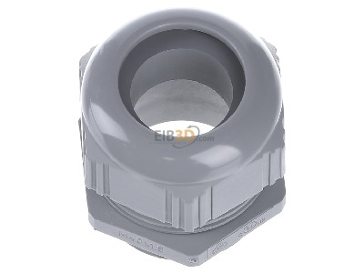 View up front Lapp STR-M40x1,5 R7001SGY Cable gland / core connector 
