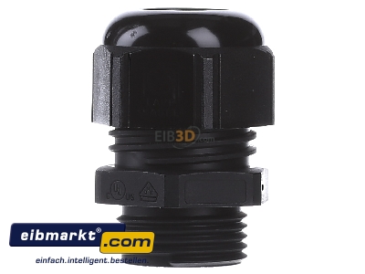 Front view Lapp Zubehr ST-M20x1,5 R9005 BK Cable screw gland M20 - 
