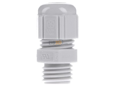 Back view Lapp ST-M12x1,5 R7035 LGY Cable gland / core connector M12 
