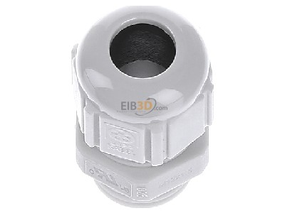 Top rear view Lapp ST-M12x1,5 R7035 LGY Cable gland / core connector M12 

