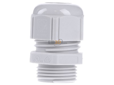 Front view Lapp ST-M20x1,5 R7035 LGY Cable gland / core connector M20 
