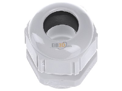 View top right Lapp ST-M20x1,5 R7035 LGY Cable gland / core connector M20 
