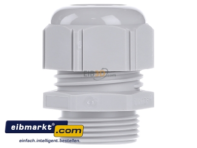 Ansicht links Lapp Zubehr ST-M25x1,5 R7035 LGY Kabelverschraubung SKINTOP 