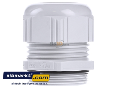 Front view Lapp Zubehr ST-M40x1,5 R7035 LGY Cable screw gland M40 
