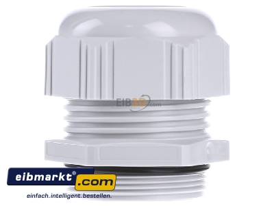 Ansicht rechts Lapp Zubehr ST-M40x1,5 R7035 LGY Kabelverschraubung SKINTOP 