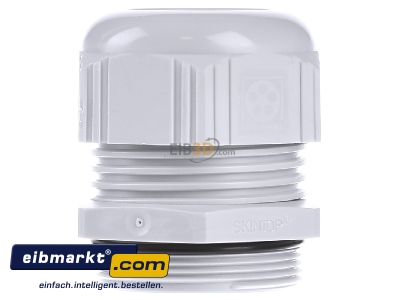 Back view Lapp Zubehr ST-M40x1,5 R7035 LGY Cable screw gland M40 
