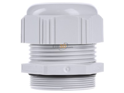 View on the left Lapp ST-M50x1,5 R7035 LGY Cable gland / core connector M50 
