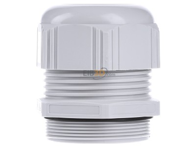 Back view Lapp ST-M50x1,5 R7035 LGY Cable gland / core connector M50 
