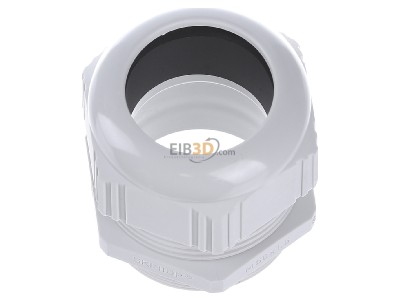 View up front Lapp ST-M50x1,5 R7035 LGY Cable gland / core connector M50 
