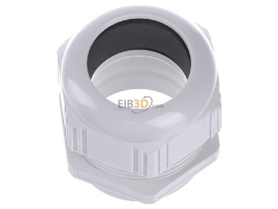 Top rear view Lapp ST-M50x1,5 R7035 LGY Cable gland / core connector M50 
