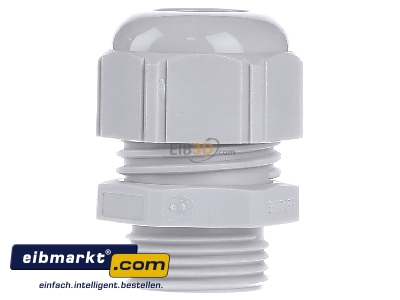 View on the left Lapp Zubehr STR-M20x1,5 R7035LGY Cable screw gland - 
