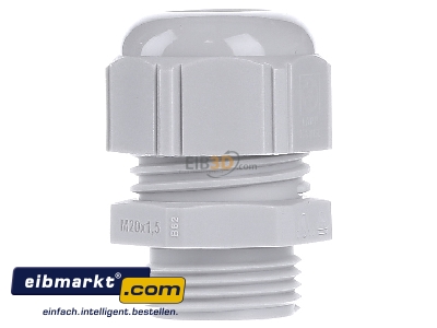 View on the right Lapp Zubehr STR-M20x1,5 R7035LGY Cable screw gland - 
