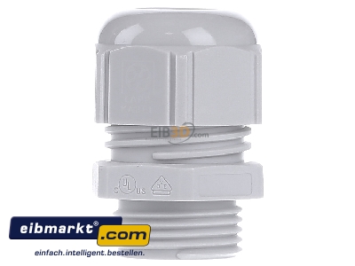 Back view Lapp Zubehr STR-M20x1,5 R7035LGY Cable screw gland - 
